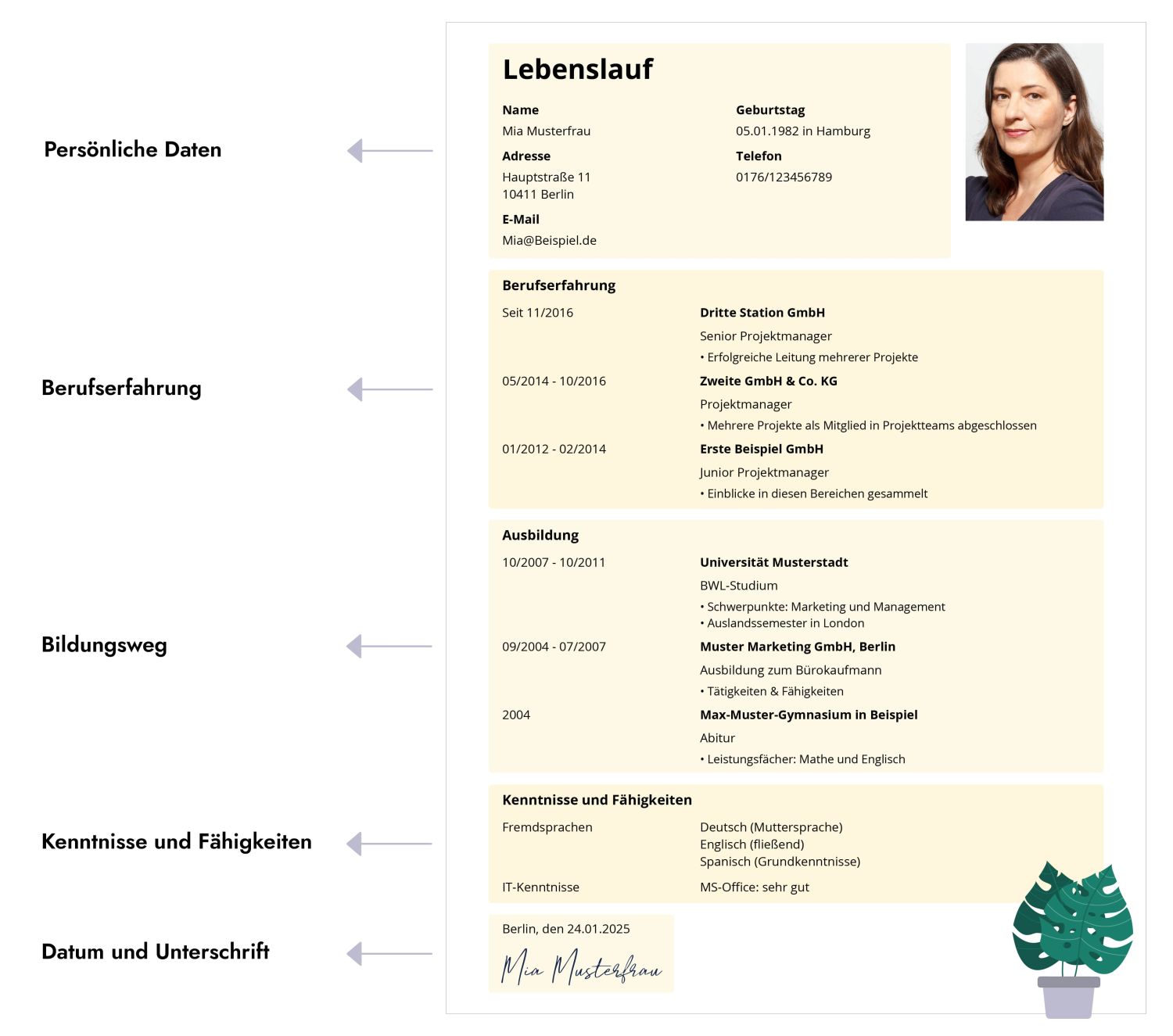 Lebenslauf Aufbau